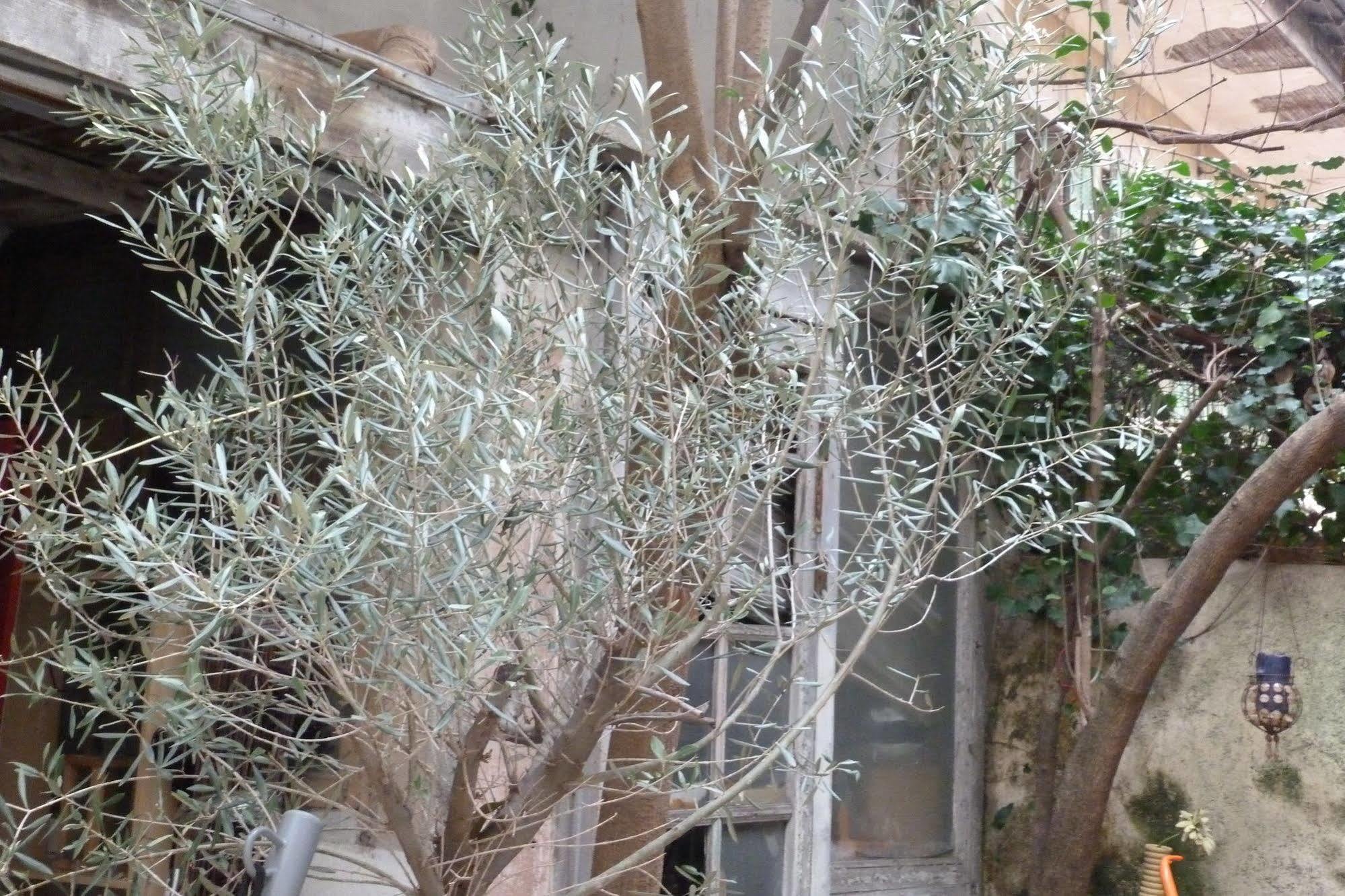Precheurs Studios Aix-en-Provence Kültér fotó